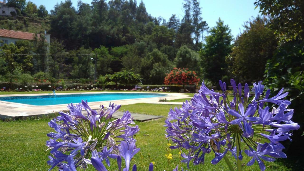 The River House - Termas Guesthouse Termas de São Pedro do Sul Exterior foto
